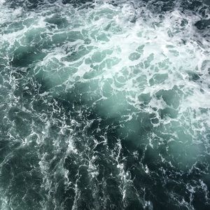 Meet your Posher, Ainsley